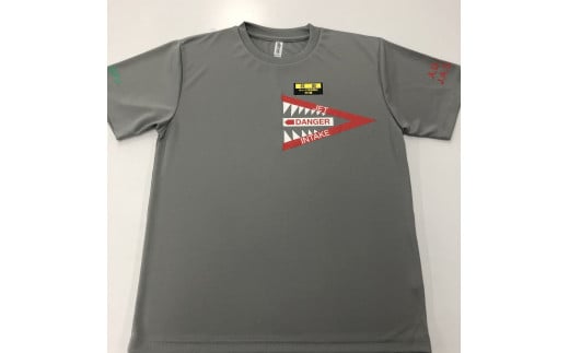 743 F-4EJ 301号機 Tシャツ(飛行開発実験団 明灰)