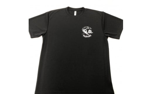 746 F-4EJ 301号機 Tシャツ(岐阜城 F-4 黒)