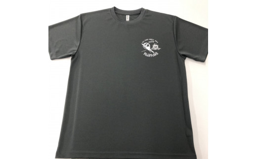 747 F-4EJ 301号機 Tシャツ(岐阜城 F-4 グレー)