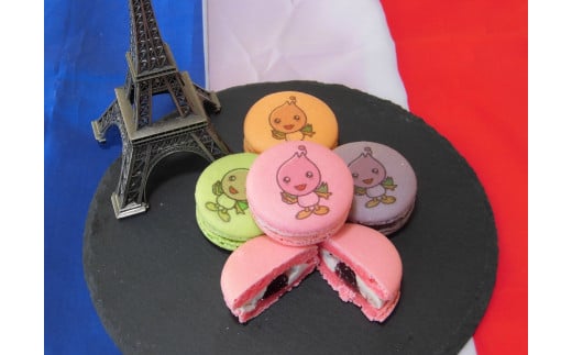 755 各務原市らららマカロン12個セット