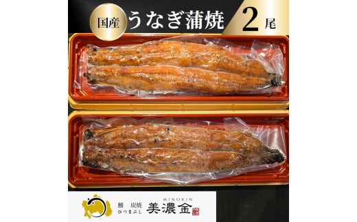 1036 美濃金　神田本店　炭焼　国産うなぎ蒲焼２尾
