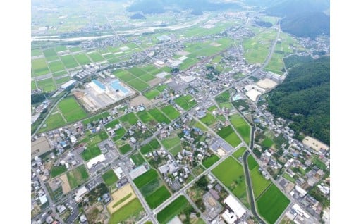本巣市をまるごと応援【指定なし】