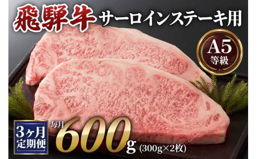 [3ヶ月定期便][A5等級]飛騨牛サーロインステーキ用 600g(300g×2枚) [0341]