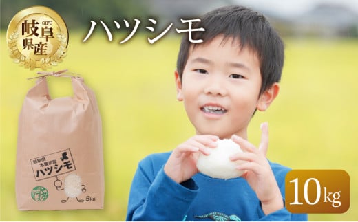 【令和7年産】 ハツシモ 10kg 米 こめ ごはん 白米 岐阜県産 本巣市 お米 精米 おにぎり 弁当 さっぱり 旨味 甘い 和食 寿司 岐阜県産 ヤマダライス 2025年11月~発送