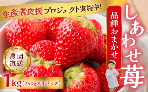 【応援プロジェクト限定品】2026年4月以降～発送 先行予約 自宅用 品種おまかせ いちご 1kg (250g × 4p) [しあわせ苺] サイズ バラバラ 訳あり 訳アリ 農園直送 フルーツ 果物 苺 イチゴ family農園watanabe 子ども 大人 人気 小分け 簡易梱包 家庭用 産地直送  紅ほっぺ よつぼし かおり野 岐阜 期間限定 いちご