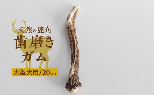 鹿角 犬用 歯磨きガム 20cm 1本 大型犬用 デンタルケア おもちゃ ペット用品 犬 消毒済み 国産 天然 [mt1859] 7000円