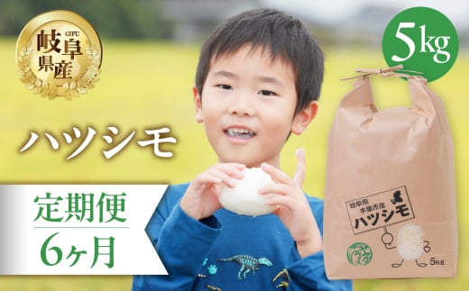 【 6回 定期便 】 ハツシモ 5kg × 6か月 米 こめ ごはん 白米 岐阜県産 本巣市 お米 精米 おにぎり 弁当 さっぱり 旨味 甘い 和食 寿司 岐阜県産 ヤマダライス