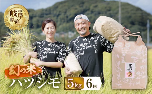 [ 6回 定期便 ] 令和7年産 ハツシモ 5kg × 6回 6か月 米 こめ ごはん 白米 岐阜県産 本巣市 お米 精米 甘い 和食 寿司 アグリフレンドホリグチ