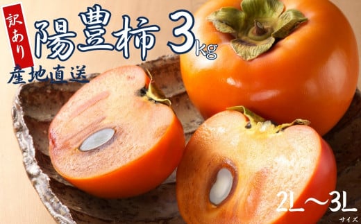 【 訳あり 】令和7年産 陽豊柿 3kg ( 2L~ 3L ) 10-12個 カキ かき 果物 くだもの フルーツ サイズ不揃い 表面 キズ 色ムラ 家庭用規格 のため 訳アリ わけあり 自宅用 家庭用 岐阜県 本巣市 高橋柿ファーム 先行予約 11月上旬~ 発送予定 8000円