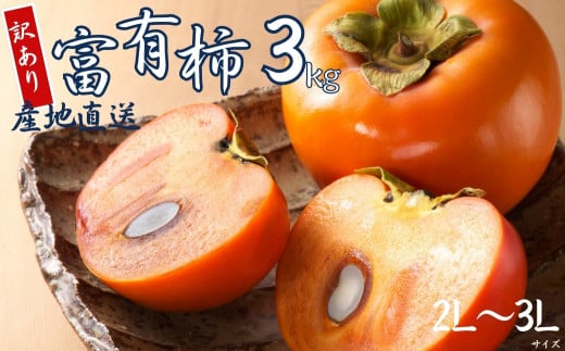【 訳あり 】令和7年産 富有柿 3kg ( 2L~ 3L ) 10-12個 カキ かき 果物 くだもの フルーツ サイズ不揃い 表面 キズ 色ムラ 家庭用規格 のため 訳アリ わけあり 自宅用 家庭用 岐阜県 本巣市 高橋柿ファーム 先行予約 11月中旬~ 発送予定 8000円
