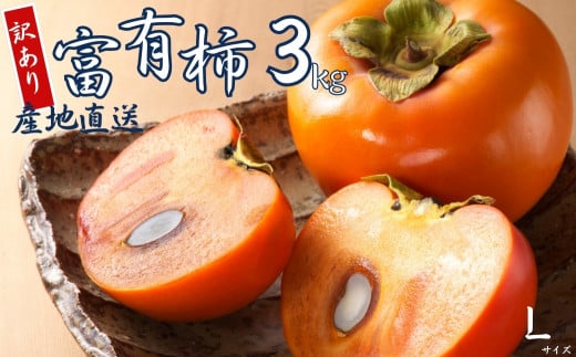 【 訳あり 】令和7年産 富有柿 3kg Lサイズ 14個 カキ かき 果物 くだもの フルーツ 表面 キズ 色ムラ 家庭用規格 のため 訳アリ わけあり 自宅用 家庭用 岐阜県 本巣市 高橋柿ファーム 先行予約 11月中旬~ 発送予定 7000円