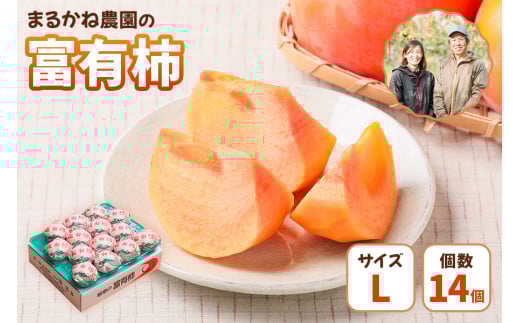 【令和7年産】 先行予約 富有柿贈答用Lサイズ14個入り [1380] | まるかね農園 かき 富有柿 ふゆうがき フルーツ 岐阜県 本巣市