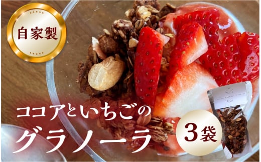 【2026年2月～発送】いちごとココアのグラノーラ3袋 ココア いちご 紅ほっぺ シリアル 朝食 ギフト ｜フルーツ スイーツ 苺 family農園watanabe 牛乳 デザート おやつ イチゴ 子ども 大人 人気 甘い ビター 岐阜県 本巣市 [mt291]