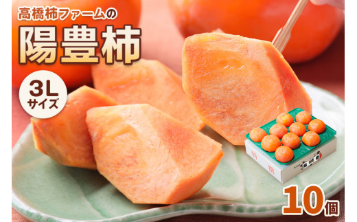 【先行予約】 令和7年産 高橋柿ファームの陽豊柿 柿 かき 3Lサイズ 10個入り《10月下旬より発送予定》