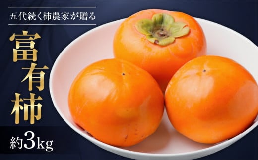 [先行予約／令和7年産]《訳あり》サイズおまかせ 西垣農園の富有柿 約3kg 11月中旬から12月上旬にかけて発送予定 [mt490] ｜わけあり サイズおまかせ かき 富有柿 フルーツ カキ 果物 くだもの 産地直送 岐阜県 本巣市 お取り寄せ 15000円