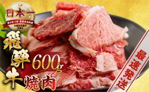 【3月発送】【訳あり】飛騨牛 焼肉 切り落とし 600g | 牛肉 肉 切落し わけあり ワケアリ 不揃い 冷凍 すぐ届く 本巣市 トキノ屋 食品 訳有 焼肉セット 焼肉用  [mt505] 15000円