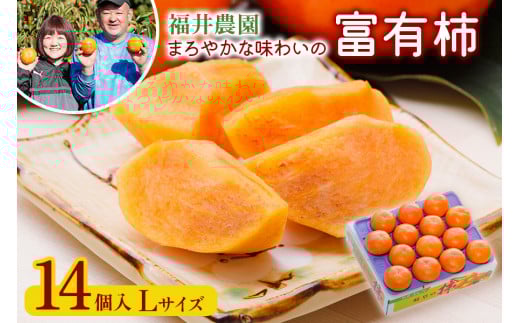 [先行予約／令和7年産]《柿の王様》福井農園の富有柿 Lサイズ (14個入) [11月～12月に発送予定] 有機質の多い独自肥料で栽培 まろやかな味わいの富有柿 [mt1234_25]