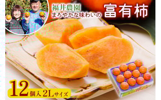 [先行予約／令和7年産]《柿の王様》福井農園の富有柿 2Lサイズ (12個入) [11月～12月に発送予定] 有機質の多い独自肥料で栽培 まろやかな味わいの富有柿 [mt240]