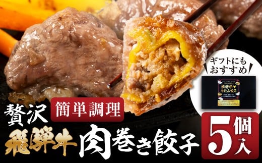 贅沢！飛騨牛 肉巻餃子 5個 餃子 ぎょうざ ギョウザ 飛騨牛 a5 赤身 もも モモ 肉 スライス 和牛 黒毛和牛 国産 冷凍 総菜 ごはん 晩酌 のお供に お取り寄せ オリジナル 冷凍 [mt1826] 15000円