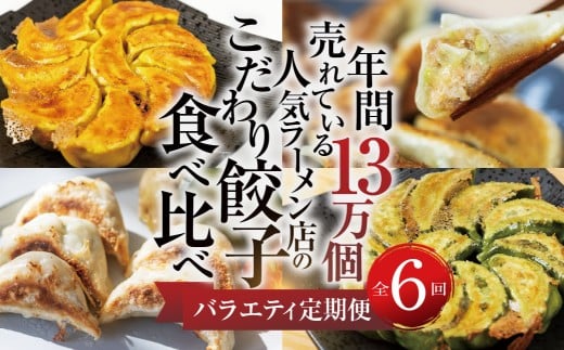 【定期便6回】餃子バラエティ 人気餃子 食べ比べ ぎふ絶品餃子 飛騨牛 餃子 もとす織部 モーニング餃子 宇宙餃子 冷凍餃子 業務用 ぎょうざ ギョウザ 冷凍 グルメ お取り寄せ グルメ 冷凍食品 国産素材 肉 牛肉 豚肉 ジューシー もちもち [mt1862]