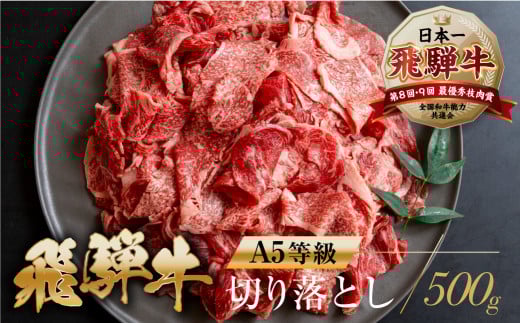 トキノ屋[A5等級] 飛騨牛切り落とし 500g 牛肉 肉 和牛 国産牛 肉 焼肉 すき焼き a5 不揃い 小分け 冷凍 日付指定 トキノ屋食品 本巣市 [mt367]