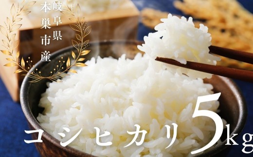 令和7年産 こしひかり 5kg 米 コシヒカリ こめ ごはん 白米 岐阜県 本巣市 お米 精米 甘い 和食 寿司 本巣市 17000円 くどみフルーツ農園