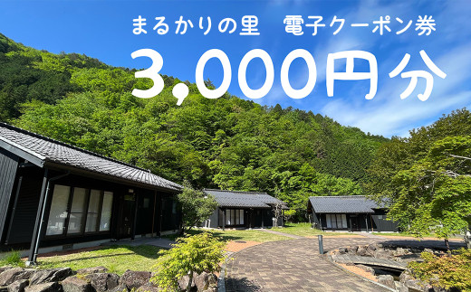 【電子クーポン券】まるかりの里キャンプ場 宿泊利用（3,000円分）下呂市 アウトドア バーベキュー 割引券 宿泊 クーポン まるかり 宿泊券 利用券 電子クーポン 電子