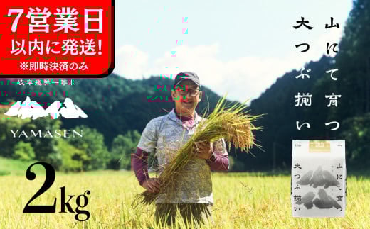 即納【令和6年産米】すがたらいす 山仙 (いのちの壱) 2kg×1袋 すがたらいす 下呂市金山産 2キロ  米 2024年産 お米 精米 米 いのちのいち やません