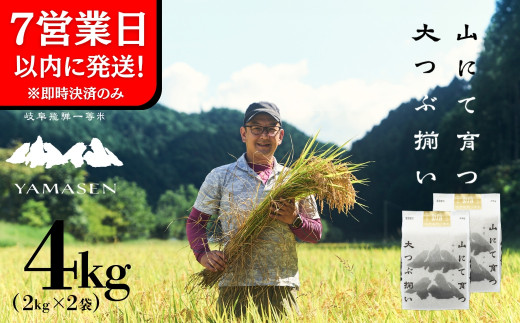 即納【令和6年産米】すがたらいす 山仙 (いのちの壱)  2kg×2袋(4kg)すがたらいす 4キロ 下呂市金山産 2024年産 お米 精米 米 いのちのいち やません