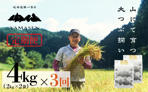 令和6年産米【定期便】山仙(いのちの壱)【2kg×2袋(4kg)×3回】 すがたらいす 下呂市金山産 2024年産 毎月 4キロ×3カ月 お米 精米 下呂温泉 下呂市 米 ブランド米