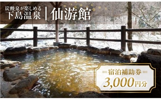 下島温泉【仙游館】宿泊補助券（3,000円分）旅館 温泉 旅行 下呂市 宿泊券 小坂 せんゆうかん