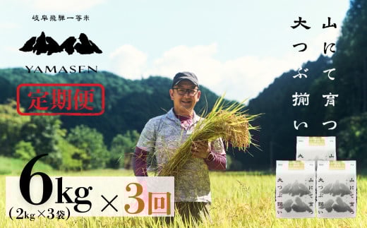 新米予約受付 令和7年産米【定期便】山仙（いのちの壱）【2kg×3袋（6kg）×3回】 すがたらいす 下呂市金山産 2025年産 毎月 6キロ×3カ月 お米 精米 下呂温泉 下呂市 米 ブランド米