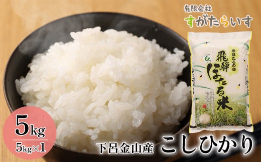 新米【令和7年産米】こしひかり 5kg すがたらいす  2025年産 お米 米 精米 下呂市金山産 コシヒカリ