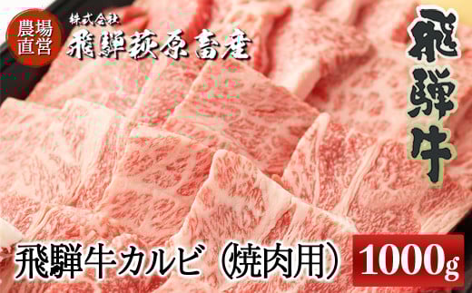 【年内発送】たっぷり大容量！飛騨牛カルビ焼肉用（1kg）最高級 国産 牛肉 ブランド牛  和牛 焼き肉用 ギフト 贈答 【冷凍】年内配送 年内発送 年内に届く 年内お届け