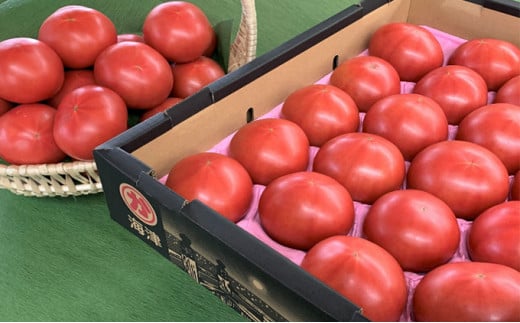 [№5533-0159]トマト