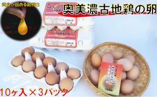 神代の味の再現 奥美濃古地鶏の卵