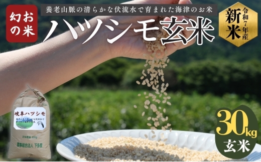 [№5533-0421]「 幻の米 」 ハツシモ 玄米 30kg