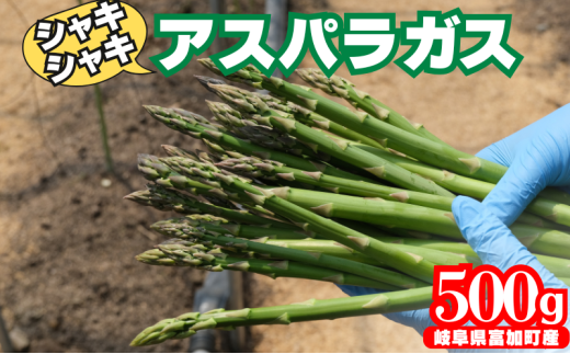 【10102】アスパラガス 500g