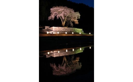5)白川町におまかせ