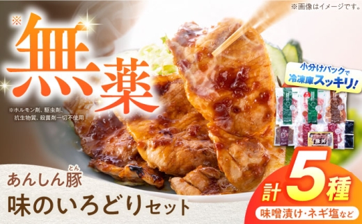【2025年12月21日までのご入金で、年内発送】あんしん豚 味のいろどりセット / 白川町 / 藤井ファーム [AWAF002]