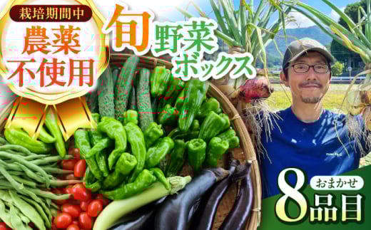 旬のお野菜 ボックス 栽培期間中化学肥料・農薬不使用 / やさい 季節の野菜 / 白川町 / 五段農園 [AWAW001]
