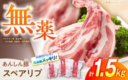 【2025年12月21日までのご入金で、年内発送】あんしん豚 スペアリブ 1.5kg 豚肉 小分け 国産 白川町 / 藤井ファーム [AWAF004]