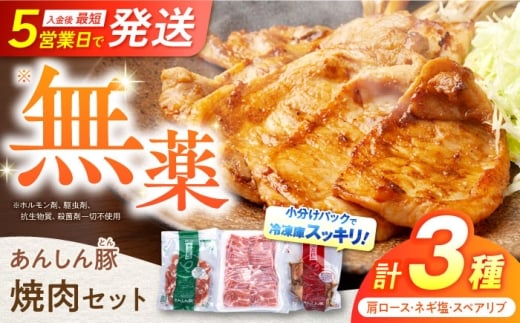 【2025年12月21日までのご入金で、年内発送】あんしん豚 焼き肉セット 豚肉 ロース 国産 白川町 / 藤井ファーム [AWAF005]