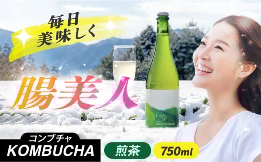 煎茶コンブチャ　fog-sencha 750ml オリジナルコンブチャ お茶 発酵飲料 腸活 白川町 / 新田製茶 [AWBK006]