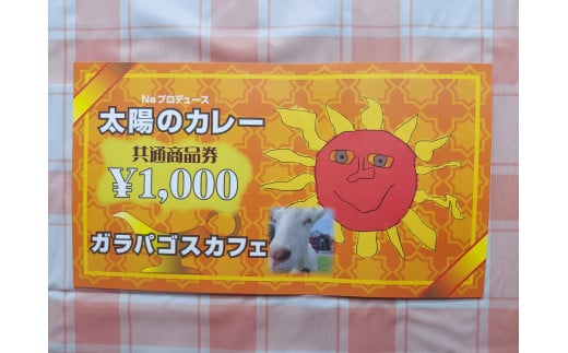 太陽のカレーキッチンカー＆ガラパゴスカフェ共通商品券10,000円分 / カレー 本格カレー 商品券 / 白川町 / ガラパゴスカフェ [AWBN004]