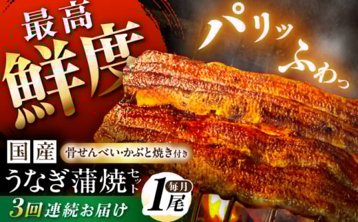 鰻【3回定期便】【備長炭】 国産 うなぎの蒲焼 1尾セット 鰻 ウナギ タレ付き 白川町 / 多幸八 [AWBL007]