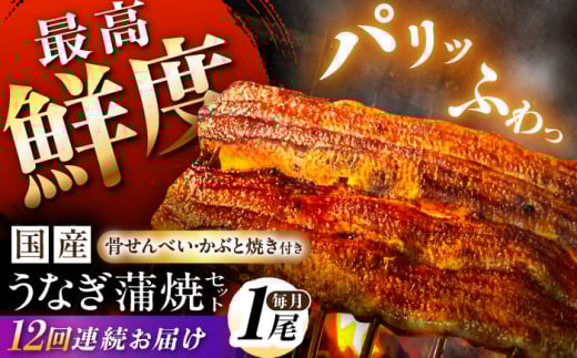 鰻【12回定期便】【備長炭】 国産 うなぎの蒲焼 1尾セット 鰻 ウナギ タレ付き 白川町 / 多幸八 [AWBL009]