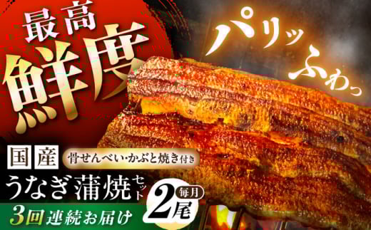 鰻【3回定期便】【備長炭】 国産 うなぎの蒲焼 2尾セット 鰻 ウナギ タレ付き 白川町 / 多幸八 [AWBL010]