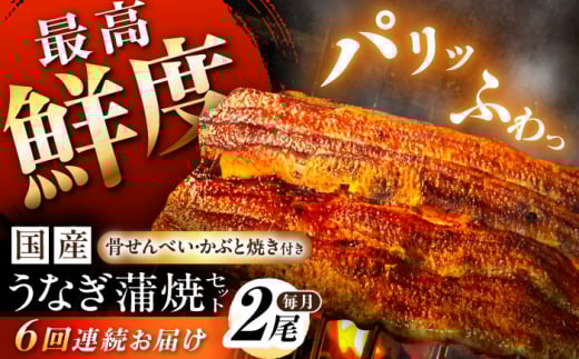 鰻【6回定期便】【備長炭】 国産 うなぎの蒲焼 2尾セット 鰻 ウナギ タレ付き 白川町 / 多幸八 [AWBL011]