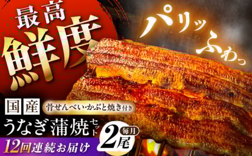 鰻【12回定期便】【備長炭】 国産 うなぎの蒲焼 2尾セット 鰻 ウナギ タレ付き 白川町 / 多幸八 [AWBL012]